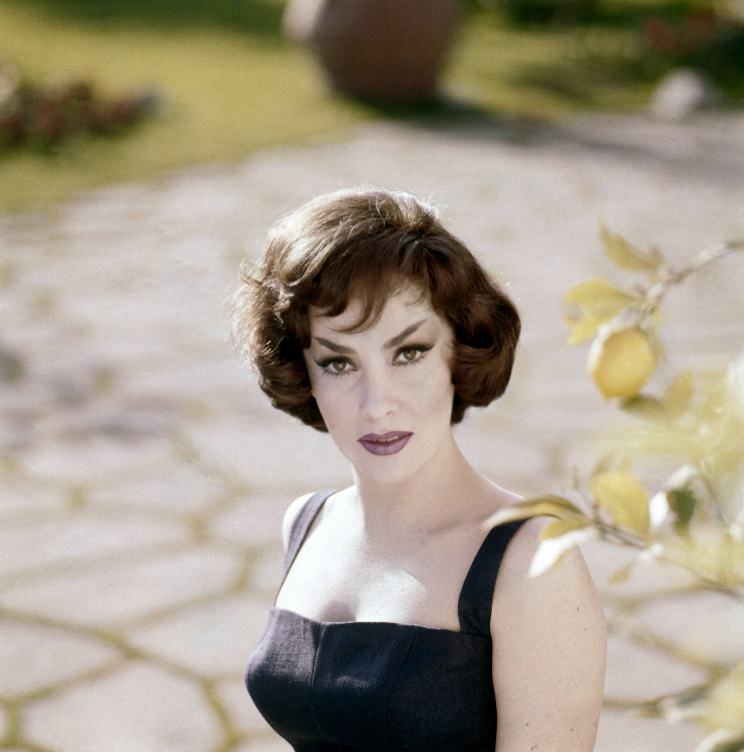 Gina Lollobrigida