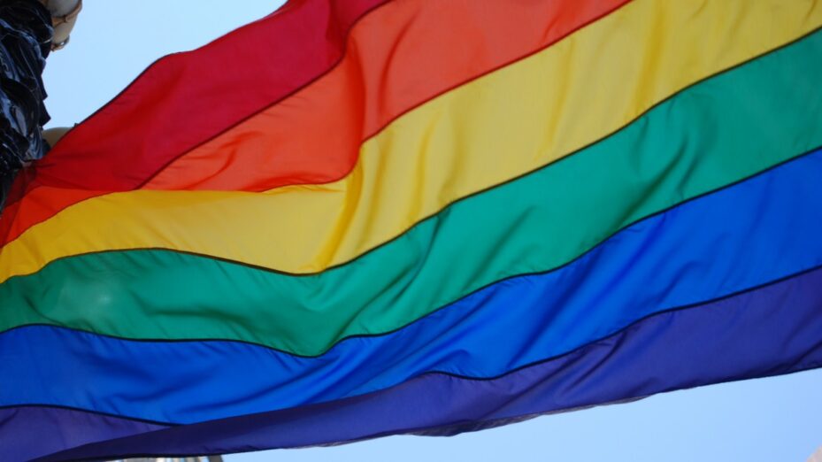 pride_lgbt_flag_rainbow_community_homosexuality_transsexual_freedom-874556.jpg!d