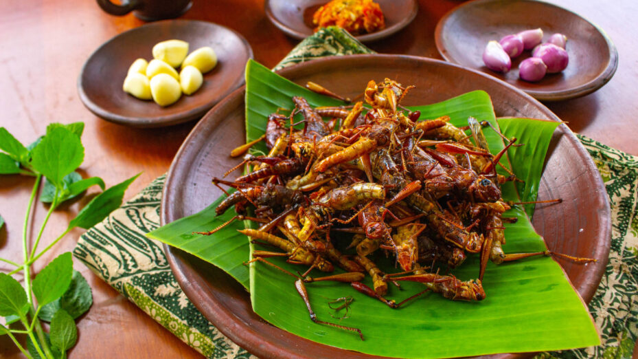 Fried,Grasshopper,Or,Belalang,Goreng,Is,Traditional,Food,From,Southeast