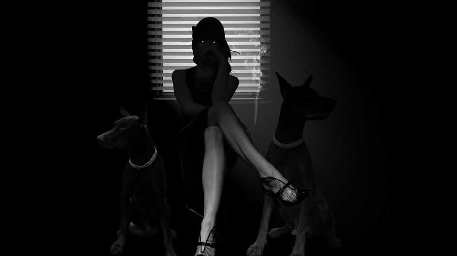 noir-3783057_960_720