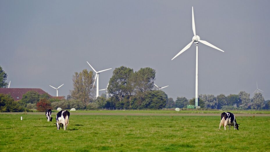 east_frisia_pasture_dairy_farming_windr_der_wind_power_cows_flat_land_coast-1029764