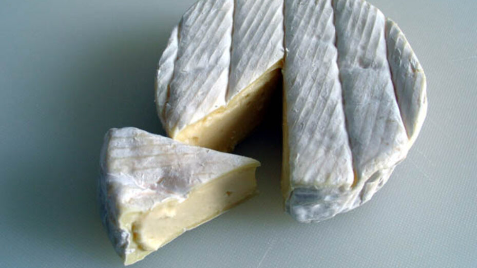 Camembert_(Cheese)
