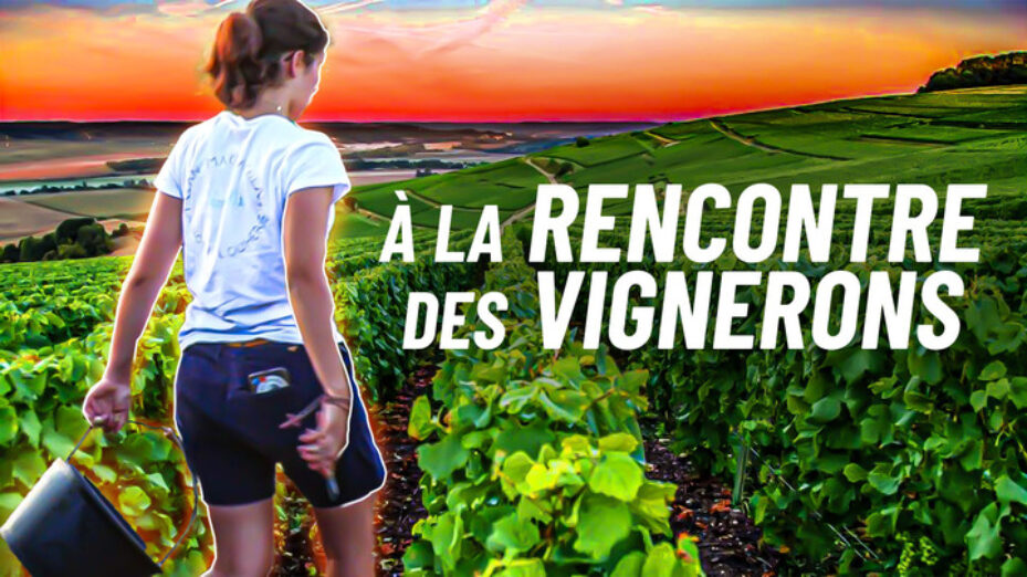 vendanges_copie_720