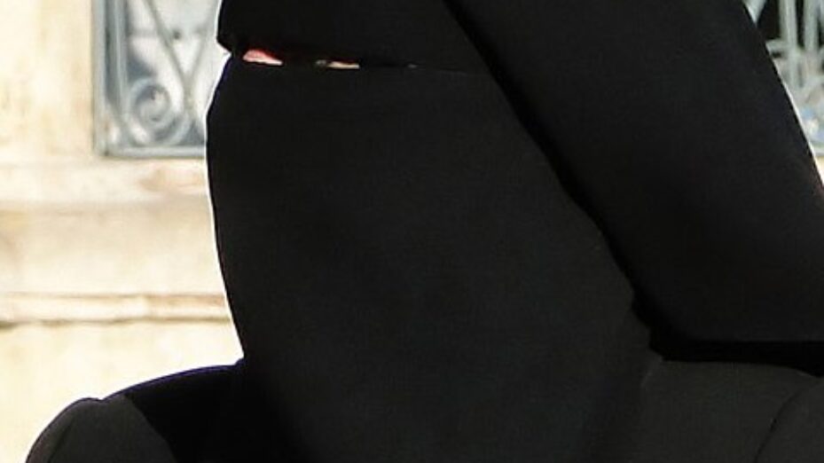 480px-Woman_in_niqab,_Aleppo_(2010)_(cropped)