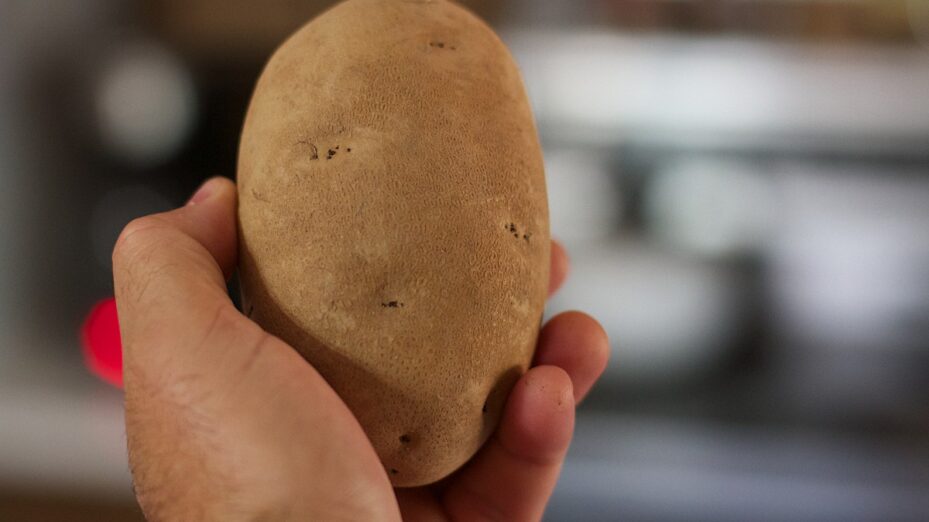 bokeh_potato_2013365-348626