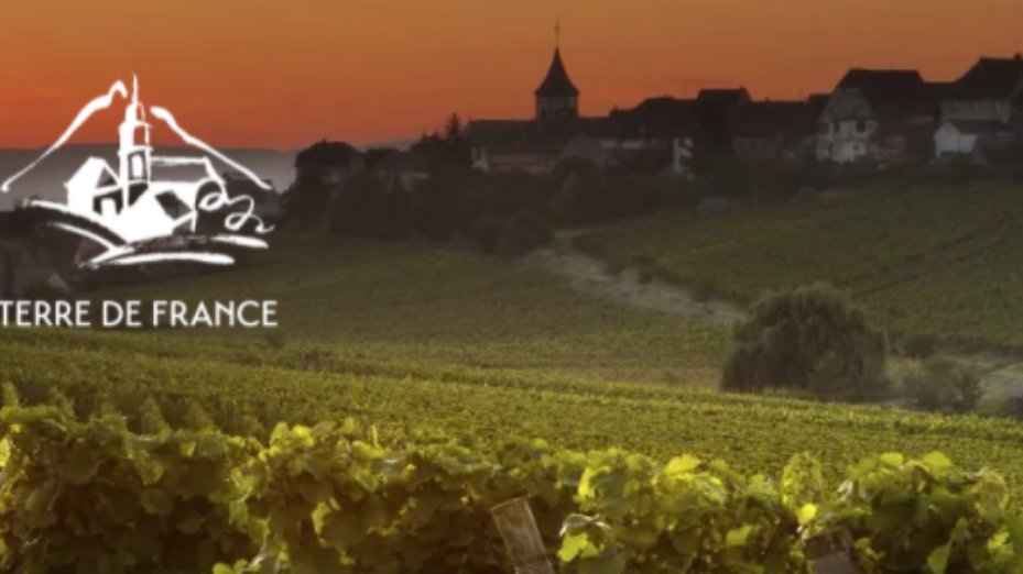 TERRE DE FRANCE TERRE DE FRANCE