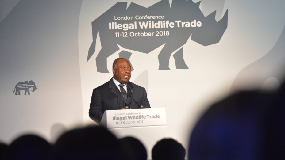 © By Foreign and Commonwealth Office - Illegal Wildlife Trade Conference: London 2018, CC BY 2.0