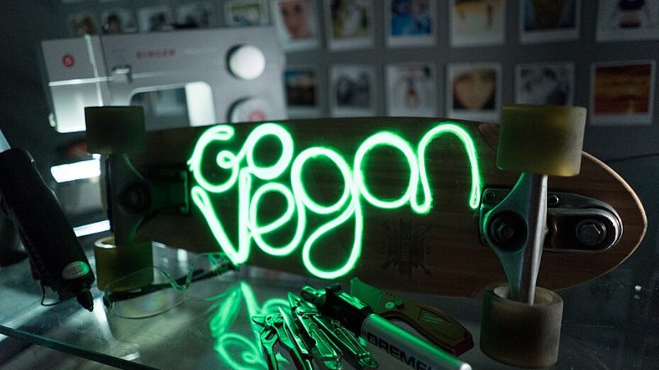 800px-Go_vegan,_activism,_light_up,_skateboad,_neon,_string_light,_EL_wire,_creative,_DIY,_make