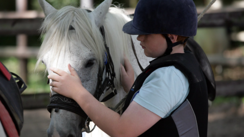 club équitation