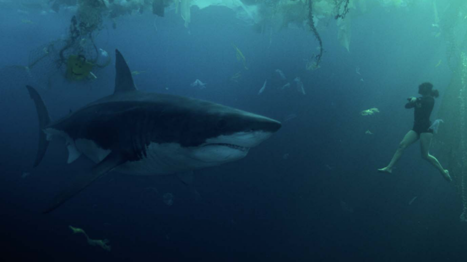 film Sous la Seine requin