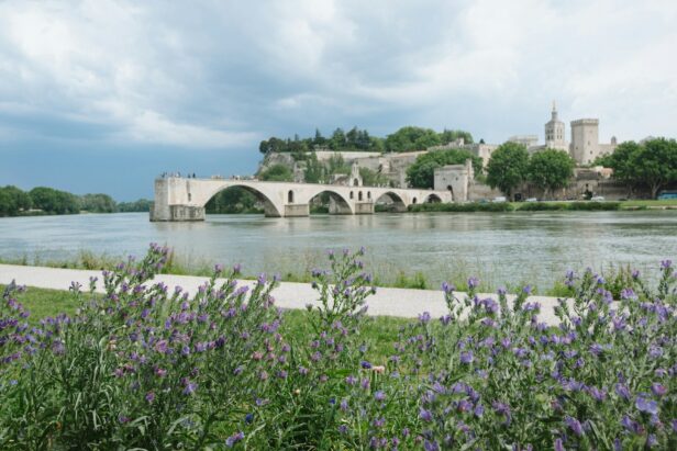 Un « fiché S » futur député ? Sur le pont d’Avignon, la gauche danse en rond…