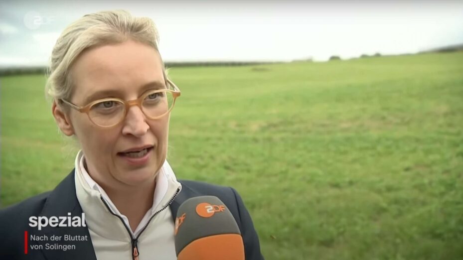 Alice Weidel, présidente de l'AfD. Capture d'écran © ZDF