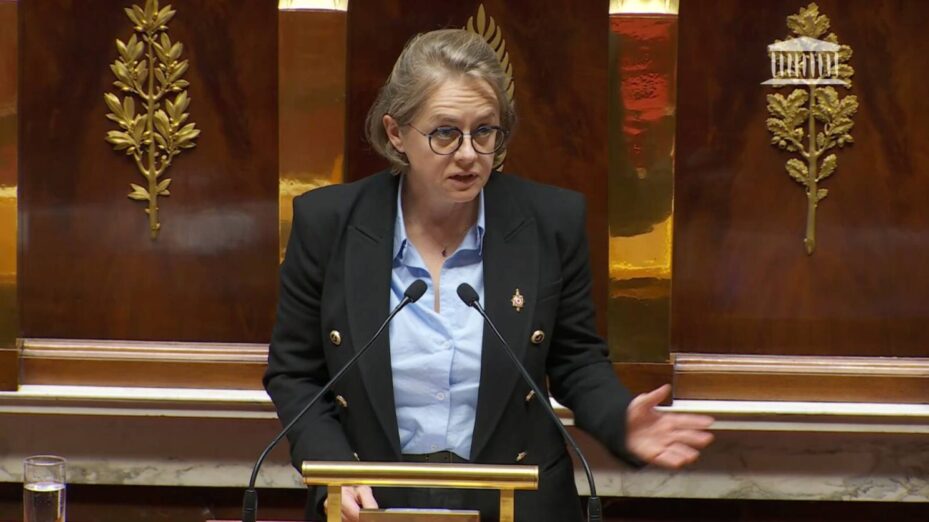 La socialiste Céline Thiébault-Martinez, auteur de l'amendement. Capture écran Assemblée nationale.