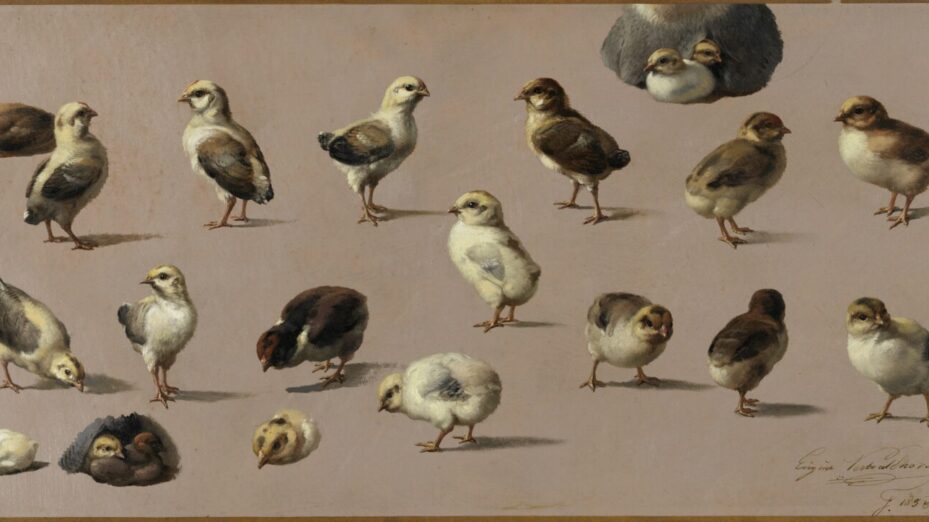 Eugène Verboeckhoven (1798-1881). Poussins (1858). Huile sur papier, collée sur toile, 27,5 x 55,5. Musées royaux des Beaux-Arts de Belgique, Bruxelles © Photo : J. Van Seghbroeck