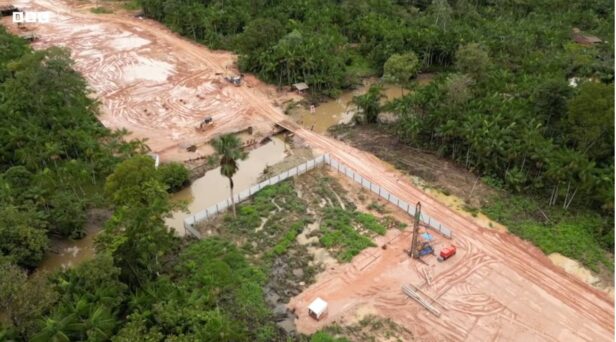 La forêt amazonienne détruite pour les besoins de la COP 30