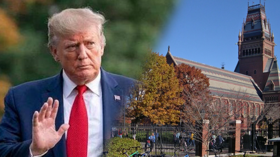 photo-output (1) Trump Harvard