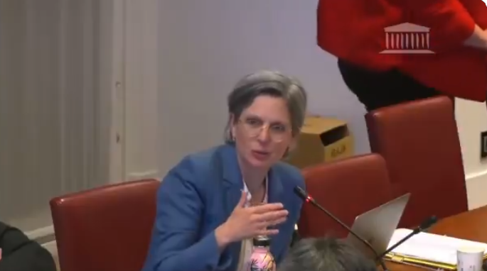 Sandrine Rousseau euthanasie
