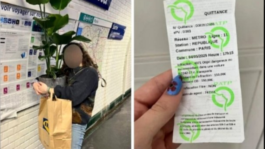 RATP amende plante verte