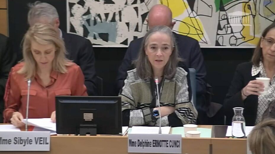 DELPHINE_ERNOTTE Capture écran Assemblée nationale