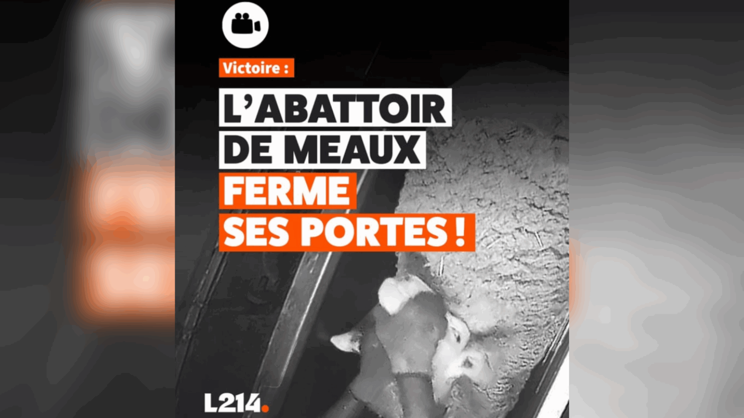 Fermeture de l'abattoir halal de Meaux : « L’horreur à deux semaines de l’aïd »
