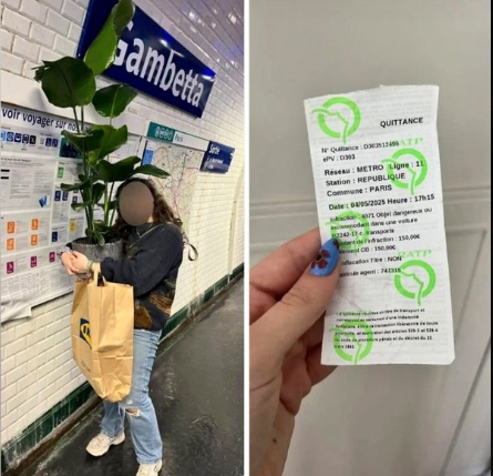 RATP amende plante verte