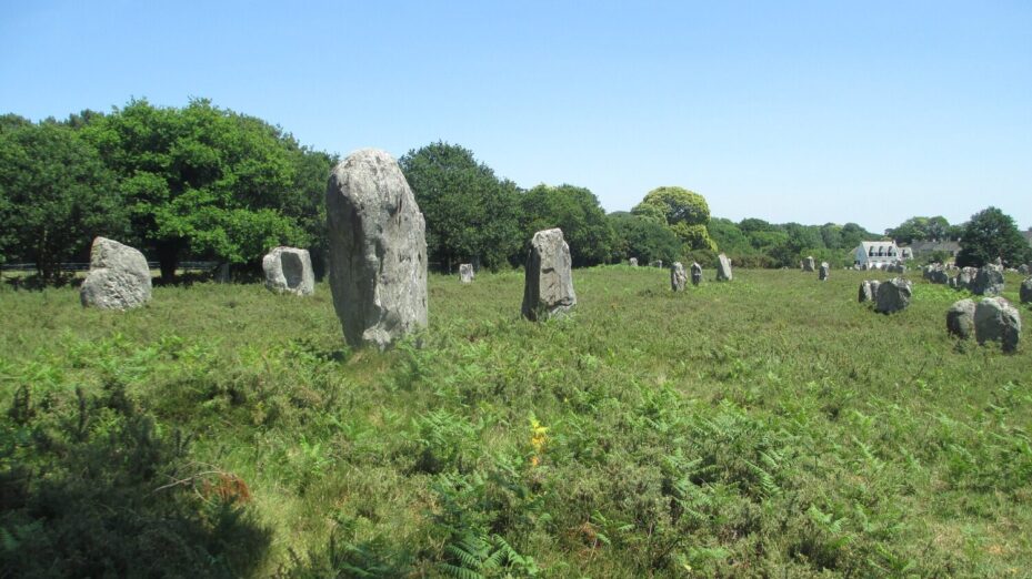 @Avi1111 dr. avishai teicher-Wikimedia