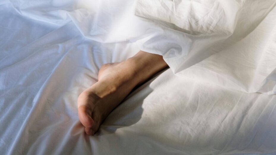 Photo Pexels / Cottonbro