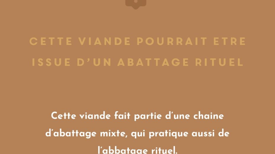 Capture d'écran de l'application "Suivez le Coq"