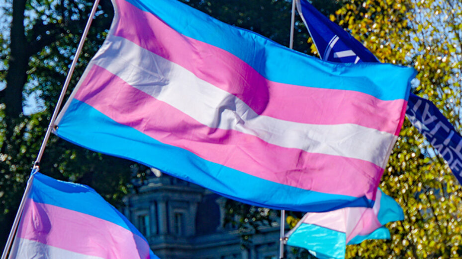 Drapeau de la communauté transgenre - Licence Creative Commons