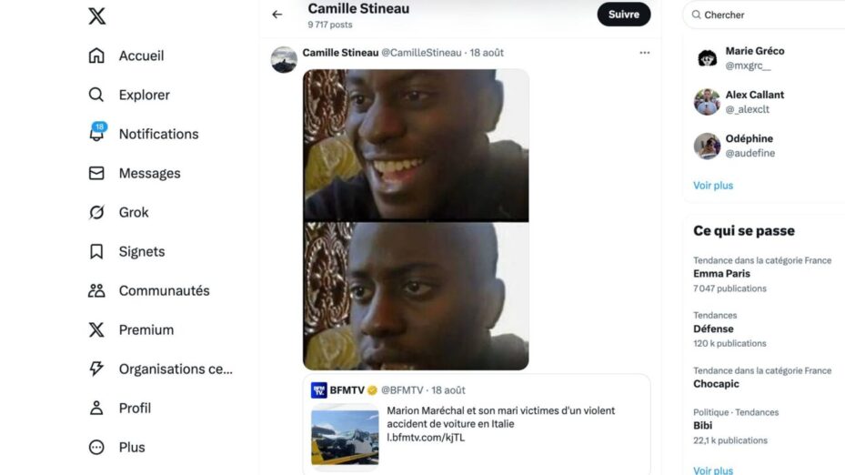 Capture écran Camille Stineau