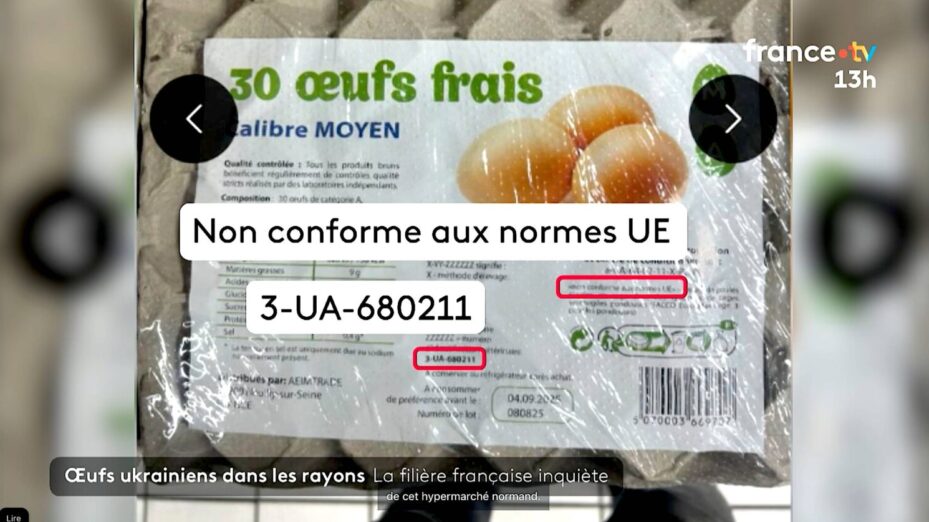 Capture écran France TV