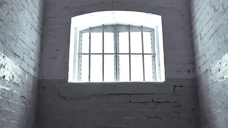 © Photo Pexels - Jimmy Chan