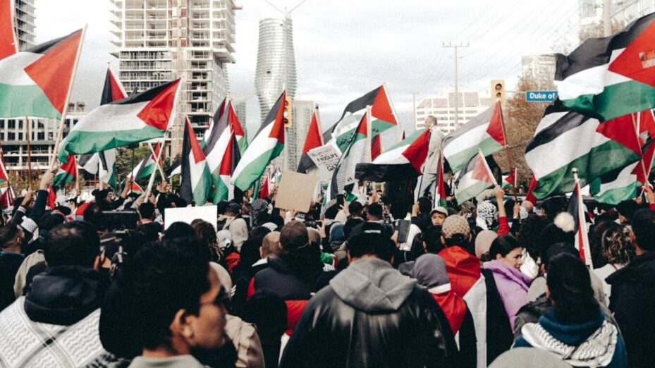 © Photo Pexels - Mohammed Abubakr