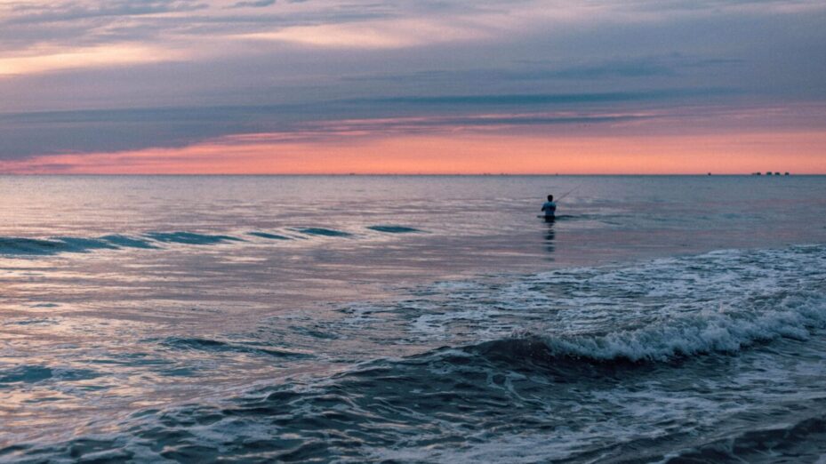 © Photo Pexels - Josh Sorenson