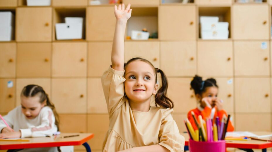 Photo Anastasia Shuraeva - Pexels