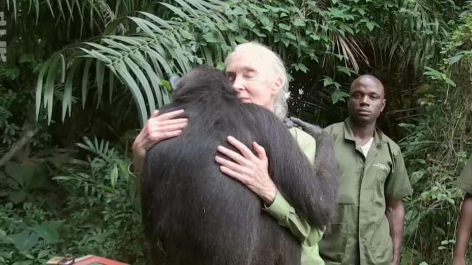 Capture d'écran Arte