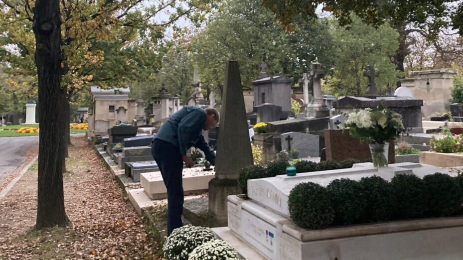 ©association chrysanthème