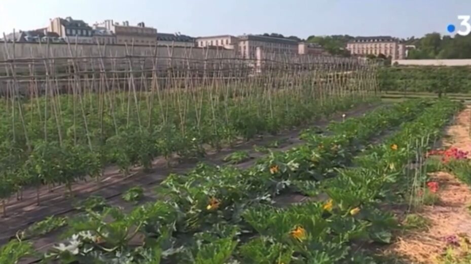 Capture d'écran France 3