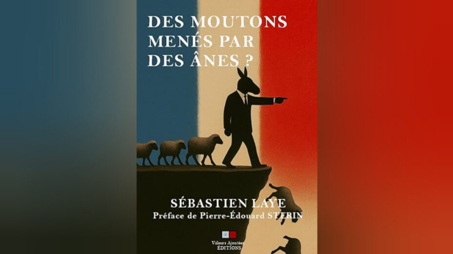 WhatsApp Image 2025-11-13 à 12.30.43_9ff0c526