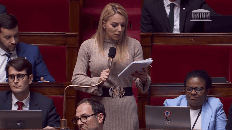 Edwige Diaz (RN) en séance. Copie écran Assemblée nationale