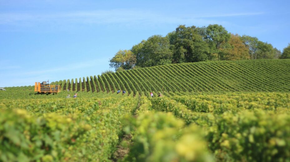 Photo de Seb - Pexels