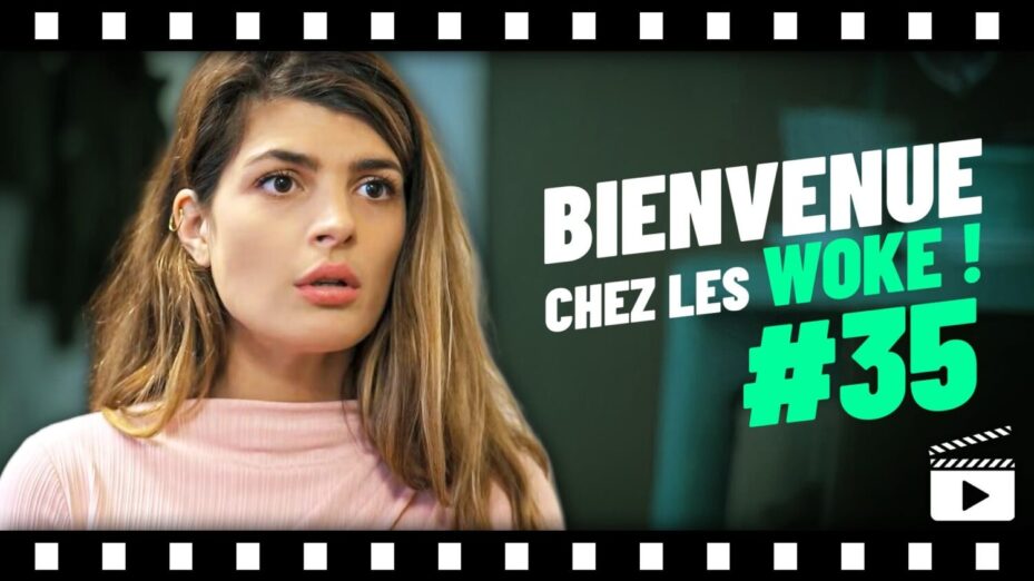 vignette_modele35 vignette_modele35