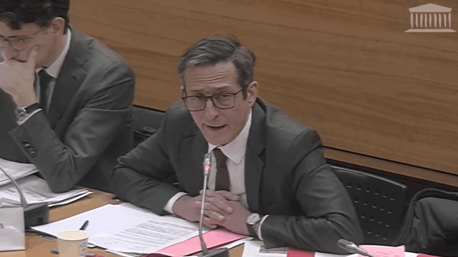 Martin Adjari, président de l'Arcom - copie écran Assemblée nationale