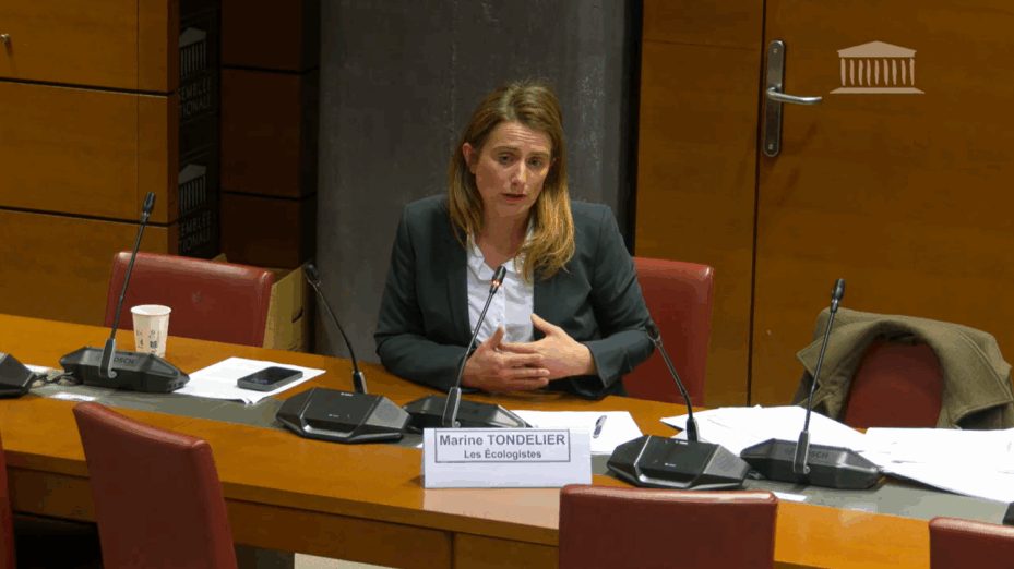 Capture écran Assemblée nationale