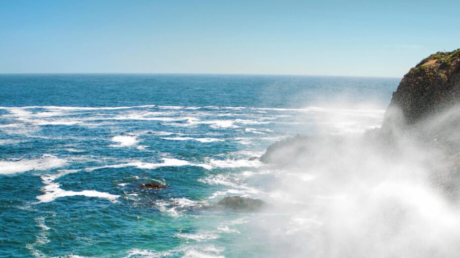 Photo Anastasiia - Pexels