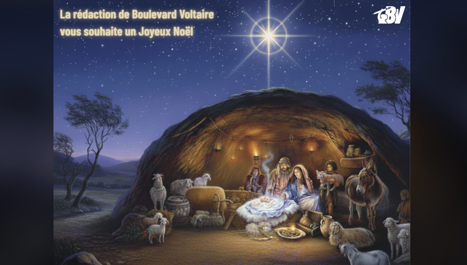 
		Commentaires sur Joyeux Noël à tous, et en particulier à nos agriculteurs ! par M. TOTO		