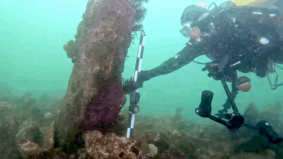 Capture d’écran SAMM