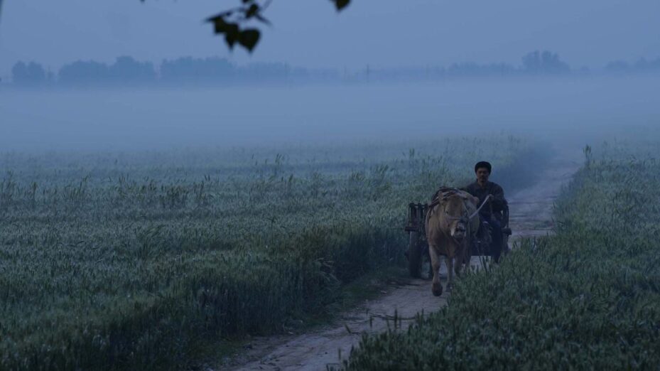 Film Le temps des moissons