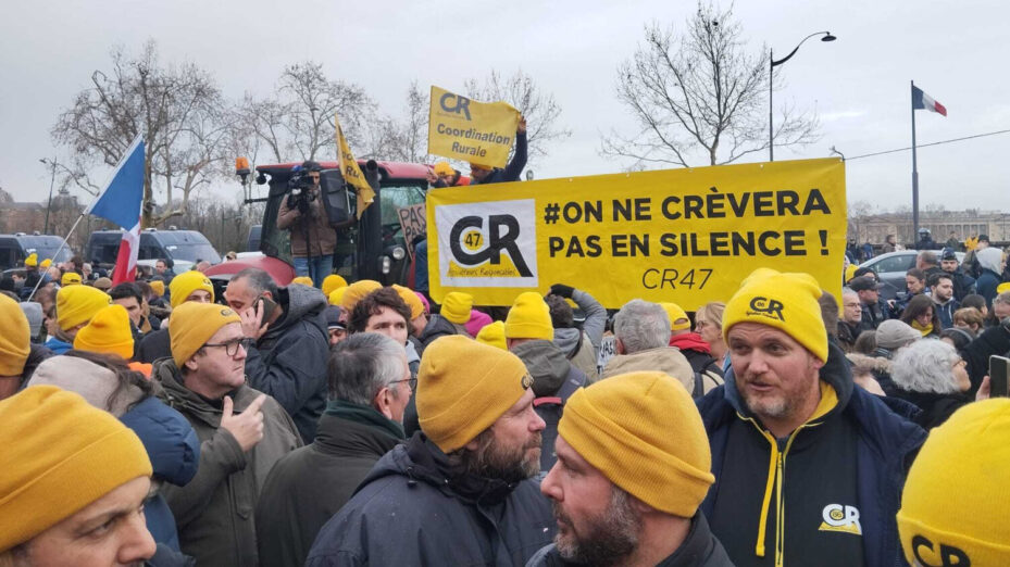 © Boulevard Voltaire