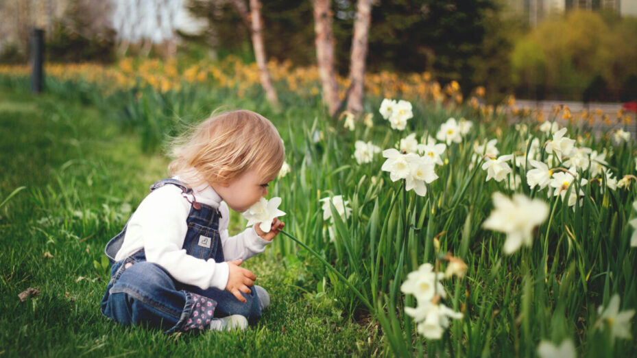 Photo de Tetyana Kovyrina: https://www.pexels.com/fr-fr/photo/fille-assise-sur-l-herbe-sentant-la-fleur-petale-blanche-1879288/